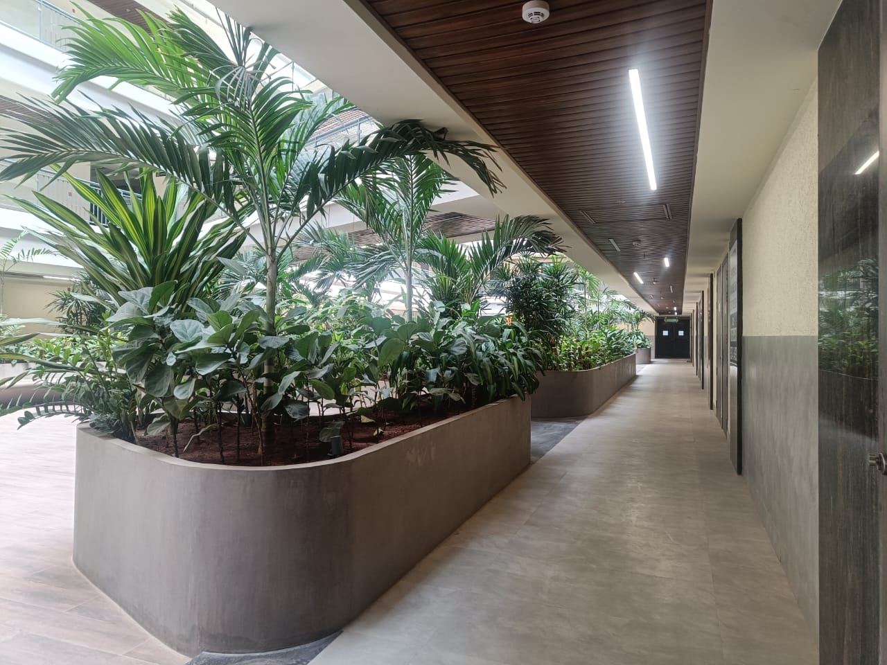 Unfurnished Office Space for Rent in Nyati Empress, Near Pheonix Mall, Viman Nagar